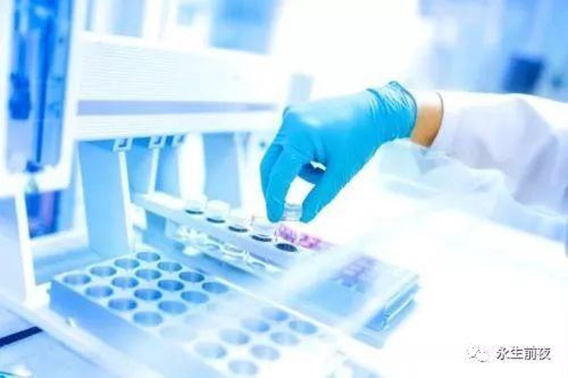 上海生物科技公司引领未来科技革命